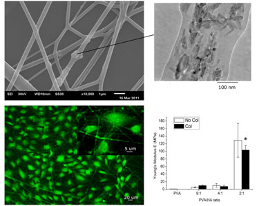 Matrix material: electrospun polyvinyl alcohol&ndash;collagen&ndash;hydroxyapatite nanofibres