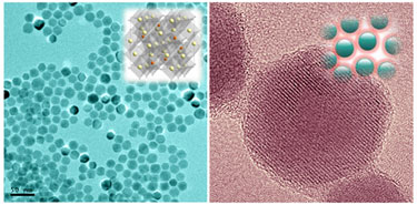 Monodispersed ferrite/C nanoparticles