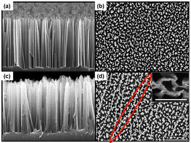 Bare, polymer-coated and polymer-stamped nanowire arrays