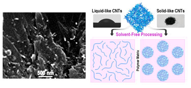 Liquid-like and solid CNTs in epoxy