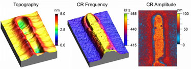 AFM views of a Cu line embedded in a dielectric material