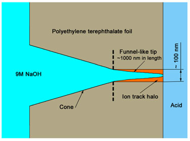 Nanopore geometry created by asymmetric track etching