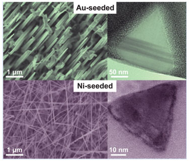 Gold- and nickel-seeded GaN nanowires