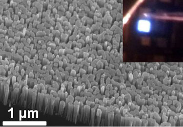 InGaN/GaN dot-in-a-wire LED heterostructures
