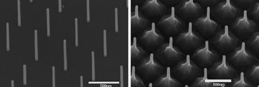Nanowire growth on substrates with and without surface oxide