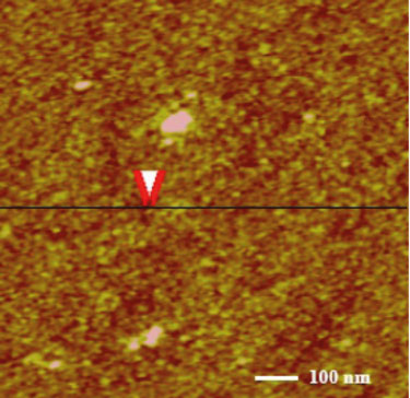 AFM image of an ultrathin Ni-film on Si (111)