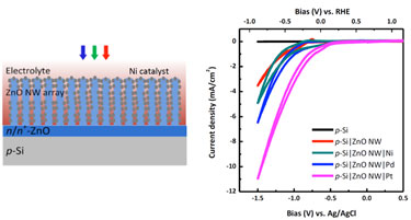 ZnO nanowire array (schematic) and cyclic voltammetry graphs