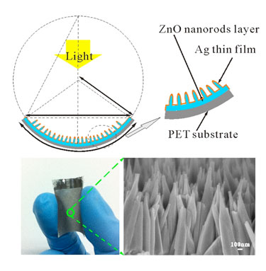The curved surface allows the nanorods to absorb more light