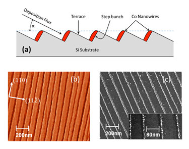 Growth of planar NW arrays on step bunched Si templates
