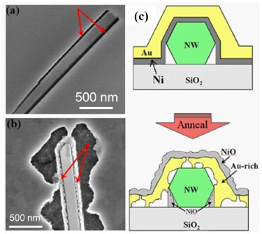 Void formation upon annealing for NiAu contacts to GaN nanowires