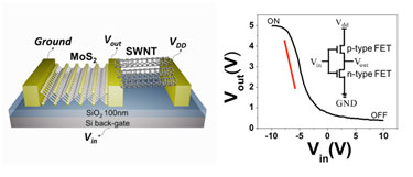 Demonstration device: CNT/MoS<sub>2</sub> inverter