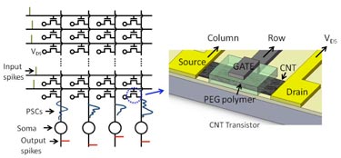 CNT spiking-neuron circuit and close-up of transistor structure