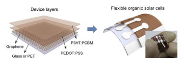 Flexible organic solar cells with a graphene electrode