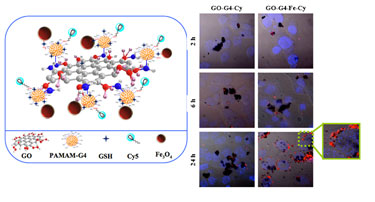 Biolabel: multicomponent graphene oxide nanosystems