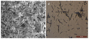 Injectable fibre system for regenerating heart tissue