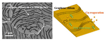 Selective growth: arrays of graphene nanoribbons