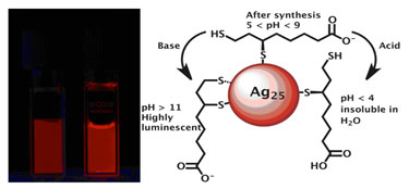 Highly luminescent silver nanoclusters