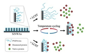 Separating proteins
