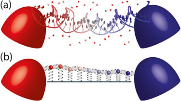 Thermal switching near the denaturation temperature