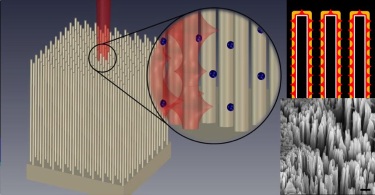 Si nanowires are exploited to get plasmon-free surface enhanced Raman scattering. Light-trapping allows the near-field excitation to be extended for several tens of nm Si nanowires are exploited to get plasmon-free surface enhanced Raman scattering. Light-trapping allows the near-field excitation to be extended for several tens of nm