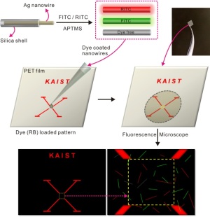 The process of producing anti-counterfeit nano-fingerprints based on randomly distributed silver nanowires. The process of producing anti-counterfeit nano-fingerprints based on randomly distributed silver nanowires.