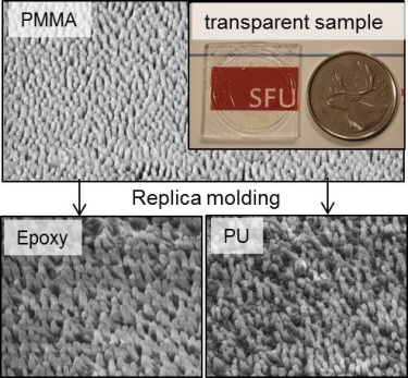 Scanning electron microscopy (SEM) images of the PMMA nano-pillar arrays, the epoxy replica pillar arrays and the polyurethane replica of pillar arrays Scanning electron microscopy (SEM) images of the PMMA nano-pillar arrays, the epoxy replica pillar arrays and the polyurethane replica of pillar arrays