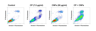 Enhanced apoptosis of DU‑145 prostate cancer cells following combinatory treatment with carbon nanomaterials and chemotherapeutics. Enhanced apoptosis of DU‑145 prostate cancer cells following combinatory treatment with carbon nanomaterials and chemotherapeutics.