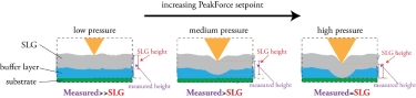 Figure (above) and video (below) demonstrating the mechanism for change in measured height with applied pressure. Figure (above) and video (below) demonstrating the mechanism for change in measured height with applied pressure.