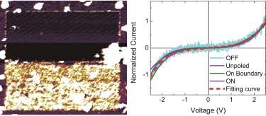 Domain boundary with enhanced but inhomogenenous conductivity and a universal behavior of conduction described well with a back-to-back Schottky barrier model. Domain boundary with enhanced but inhomogenenous conductivity and a universal behavior of conduction described well with a back-to-back Schottky barrier model.