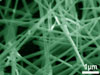 ZnO nanowires