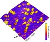 SICM image of topography and ion current