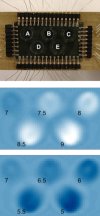 Carbon nanotubes sensing skin exposed to different pH buffer solutions