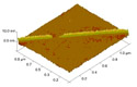 AFM of nanotube