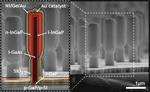 SEM image of nanowire structures