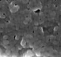 Ti&ndash;Al&ndash;V&ndash;O nanotubes immersed in SBF