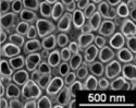 TiO2 nanotubes