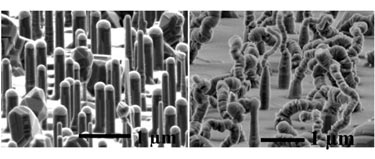 Silicon nanowires before and after heat treatment