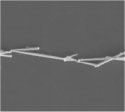 Hybrid coaxial PPV&ndash;Ni nanowires