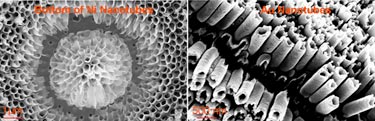 Short metallic nanotubes