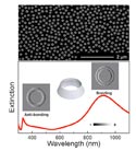 Silver nanorings