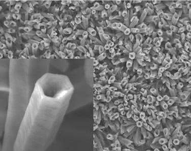 ZnO nanotube array