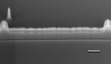 Oxidized silicon wall