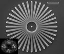 Star-like structure