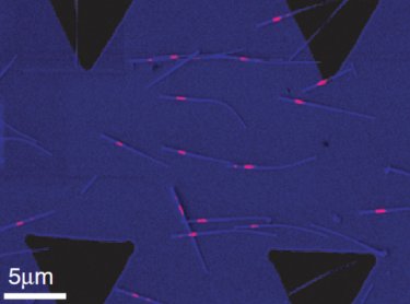 Imaging reveals heterostructures on nanowires