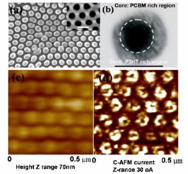 Nanorod array in detail