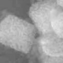 Porous gold nanorods