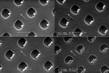 Pattern-assisted nanoassembly