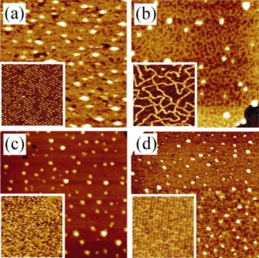 Figure 1: surface morphology