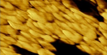 AFM image