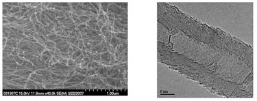 Figure 1: multiwalled carbon nanotubes